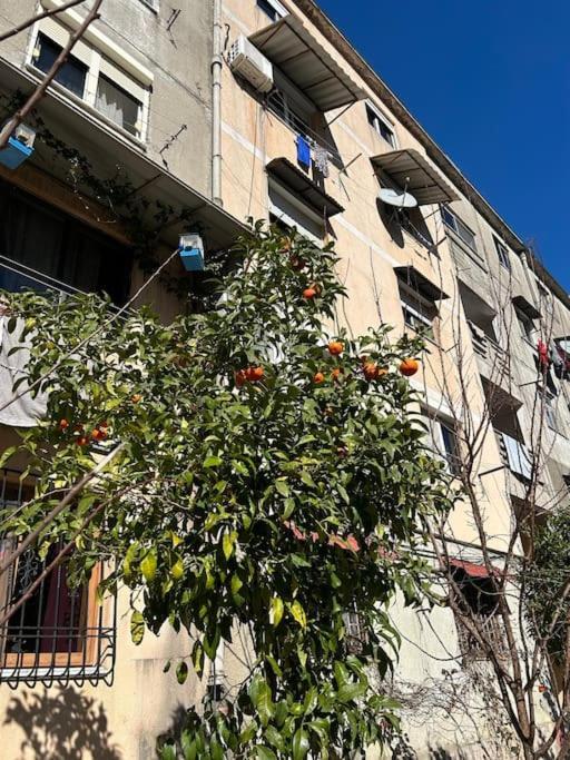 Communist Style Room Shkodra Exterior foto